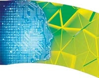 Printed Flag 3D18223