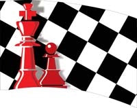 Printed Flag 3D18228