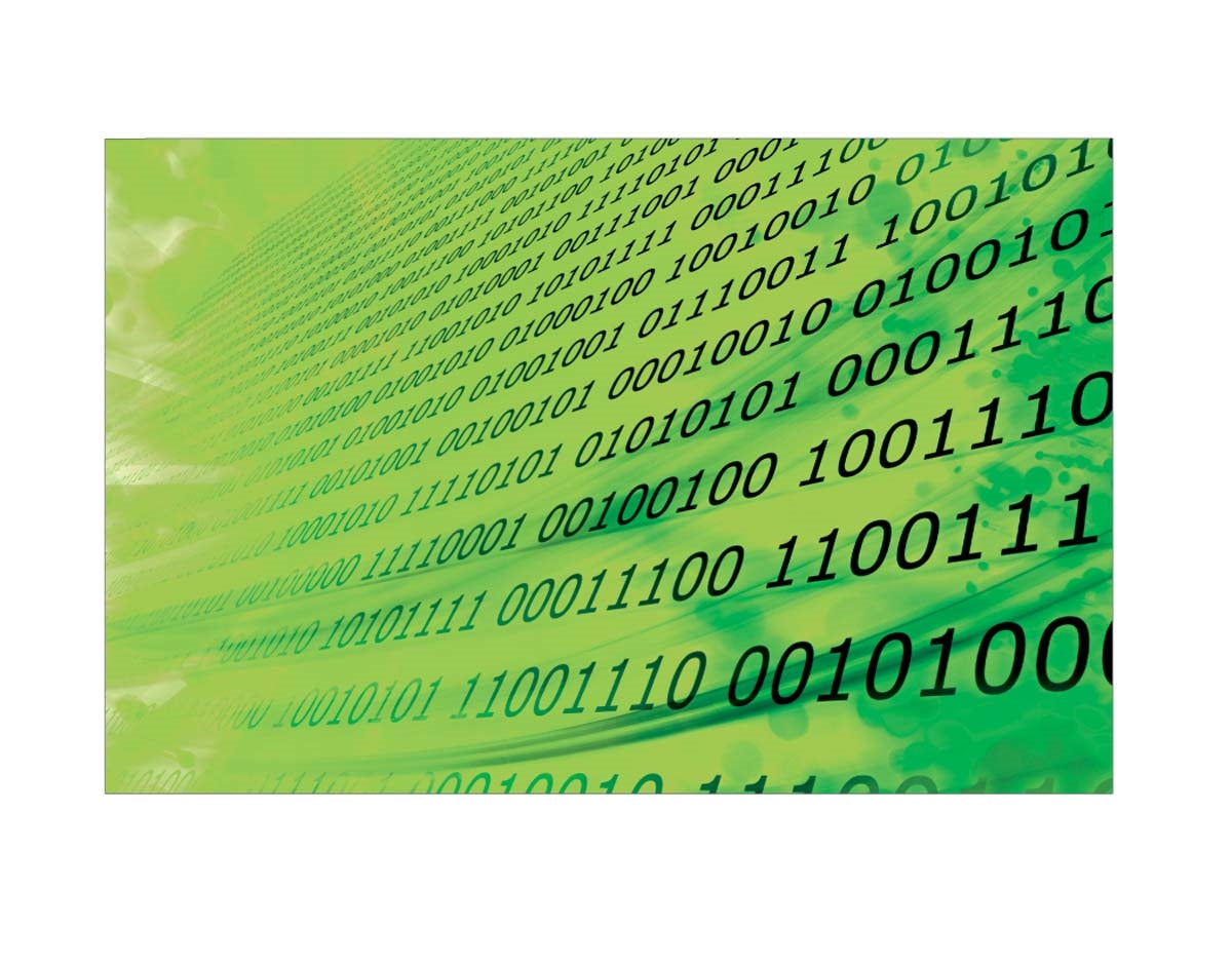 Printed Flag 3D19334