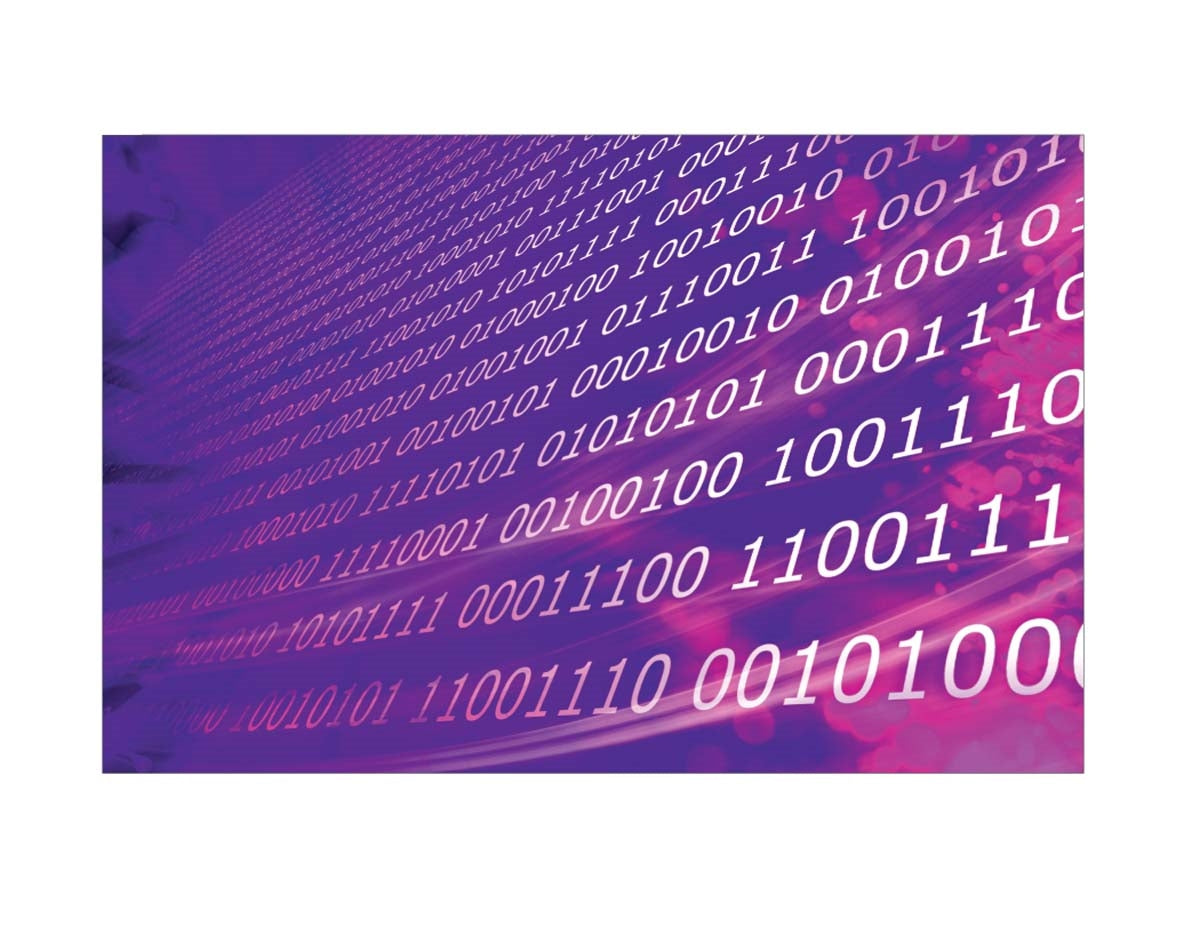 Printed Flag 3D19335