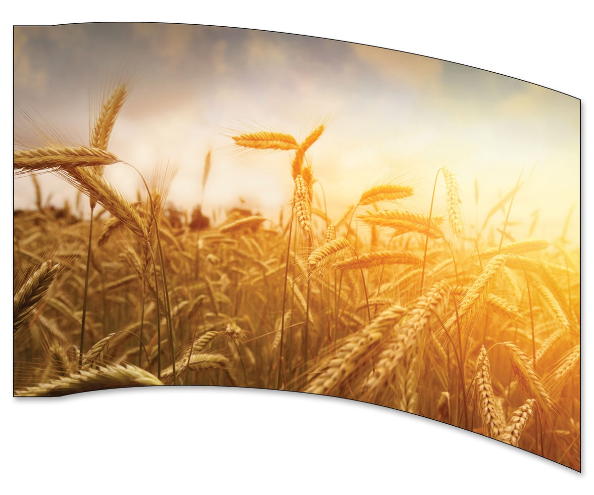 Printed Flag 3SD1779