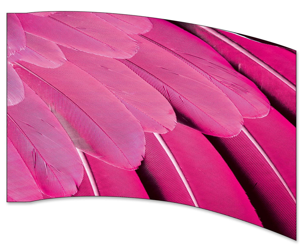 Printed Flag 3SD1793