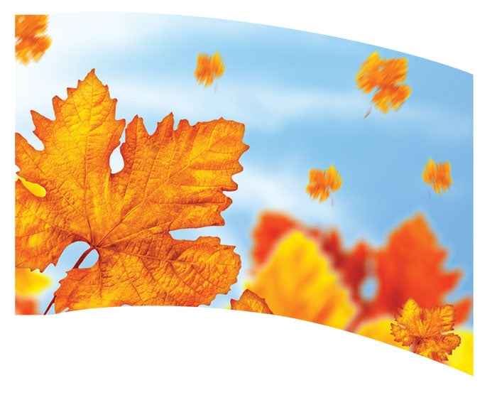 Printed Flag 3SDIG32