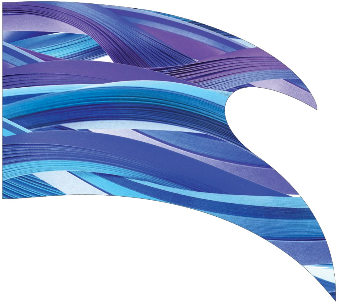 Printed Flag 3D00013