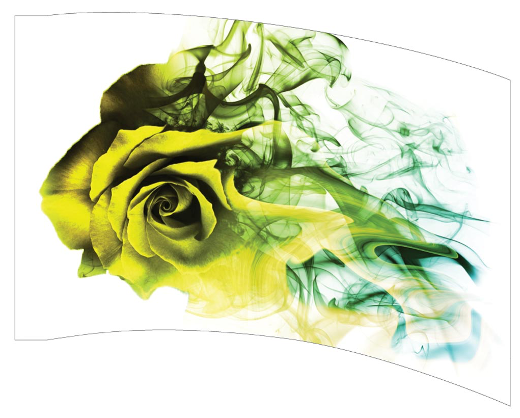 Printed Flag 3D00058