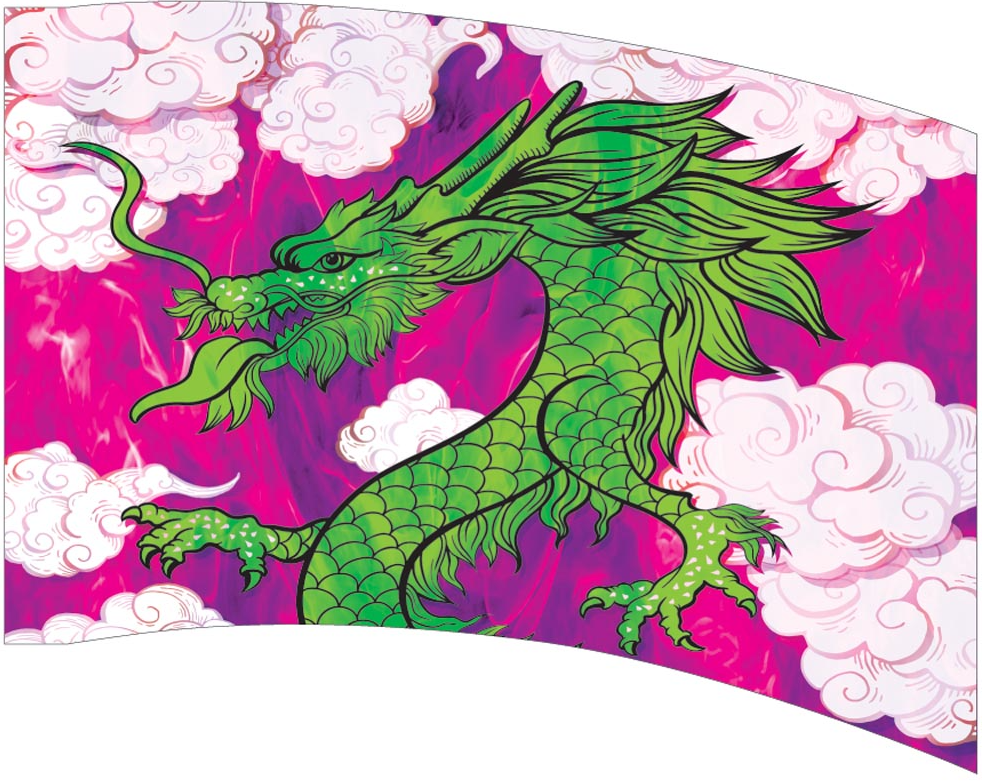 Printed Flag 3D00204