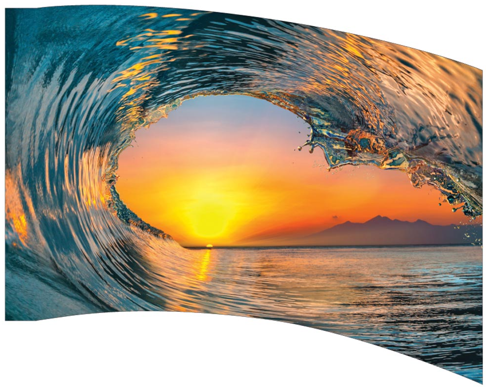 Printed Flag 3D00205