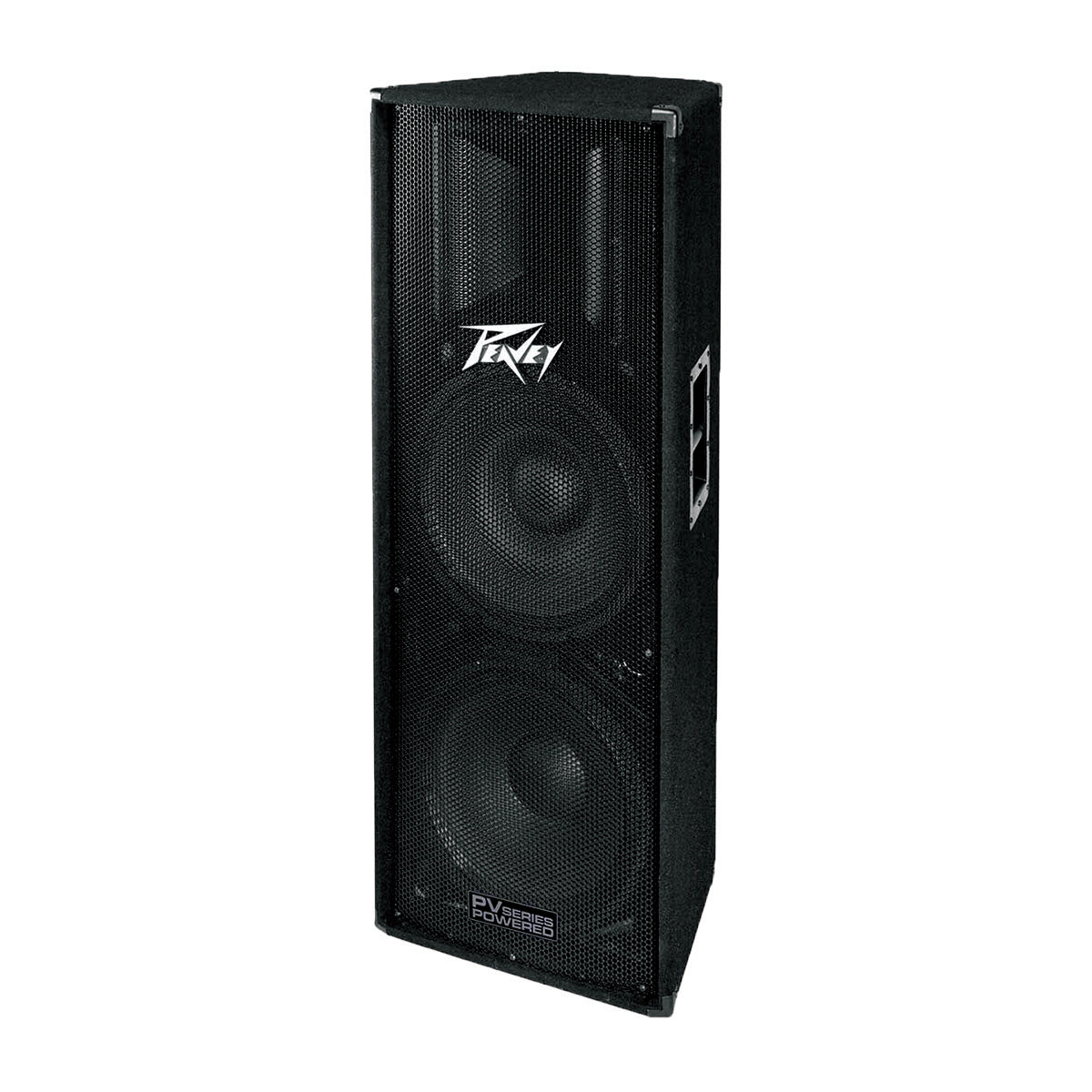 Peavey PV215 Dual Loudspeaker