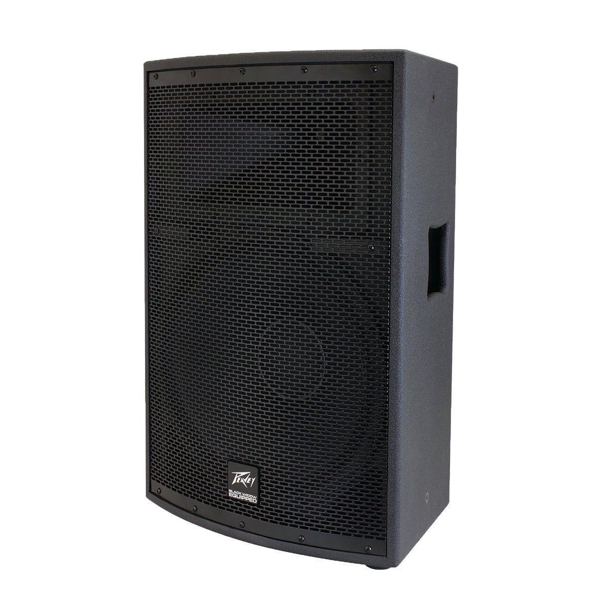 Peavey SP2 Loudspeaker