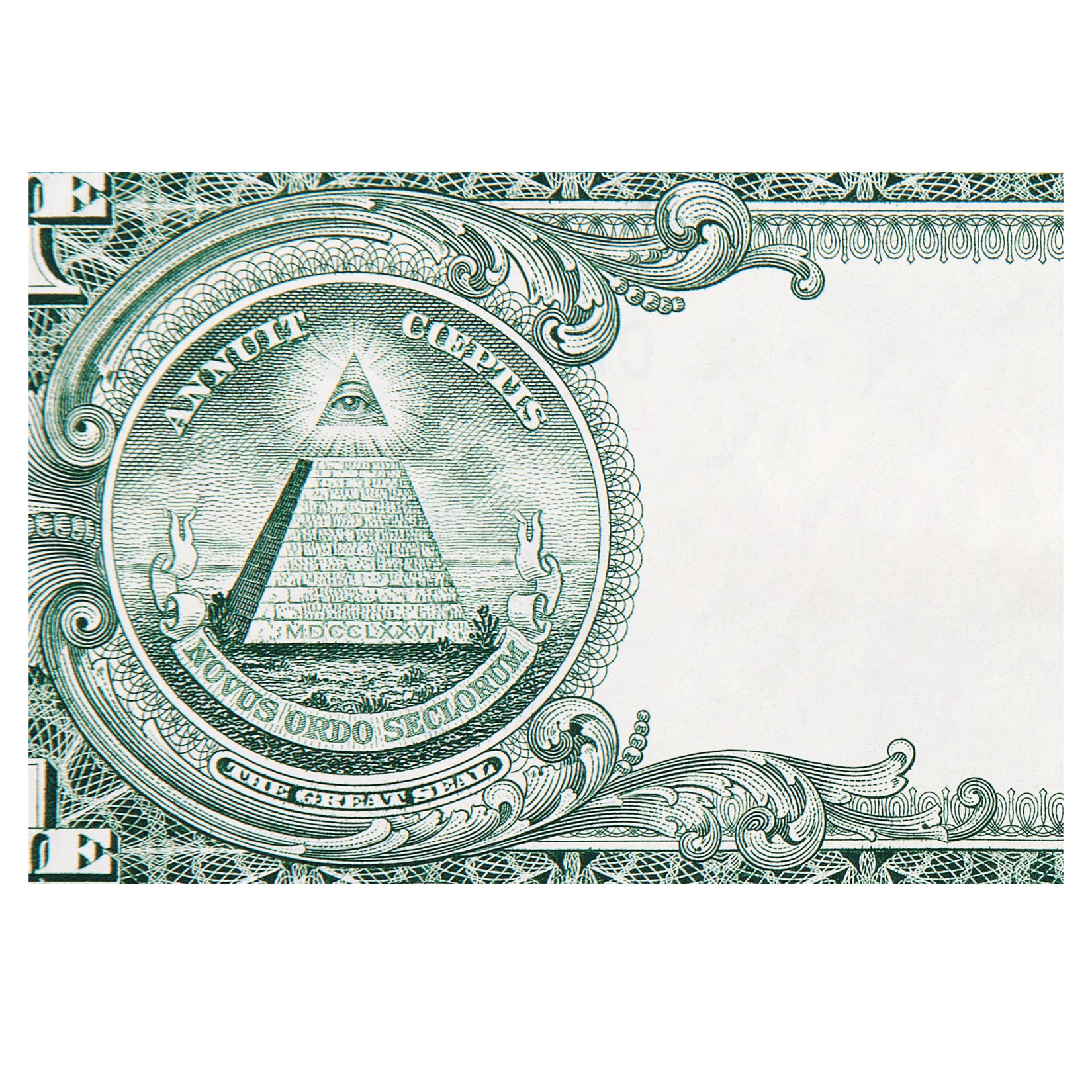 Dollar Bill Floor Tarp