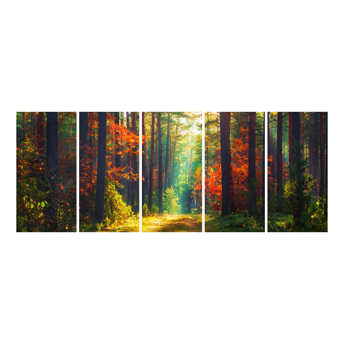 Autumn Forest I-Frame Backdrop