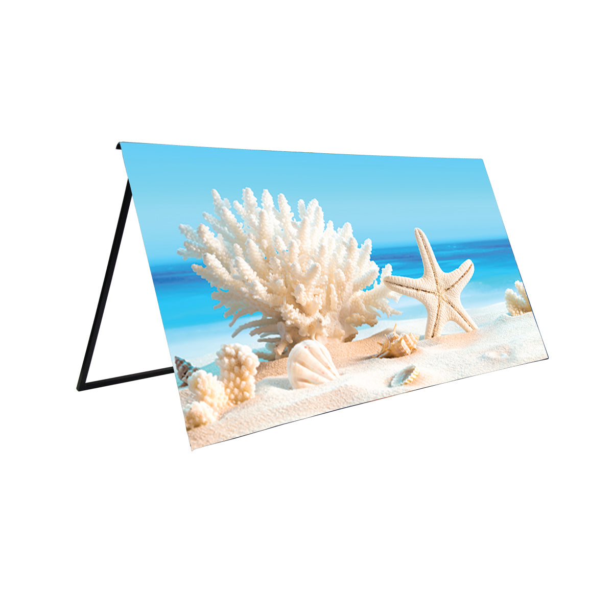 Sea Shell Front Screen