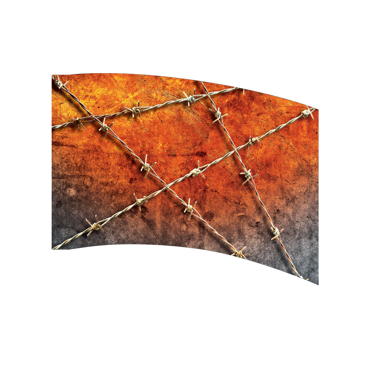 Printed Color Guard Flag