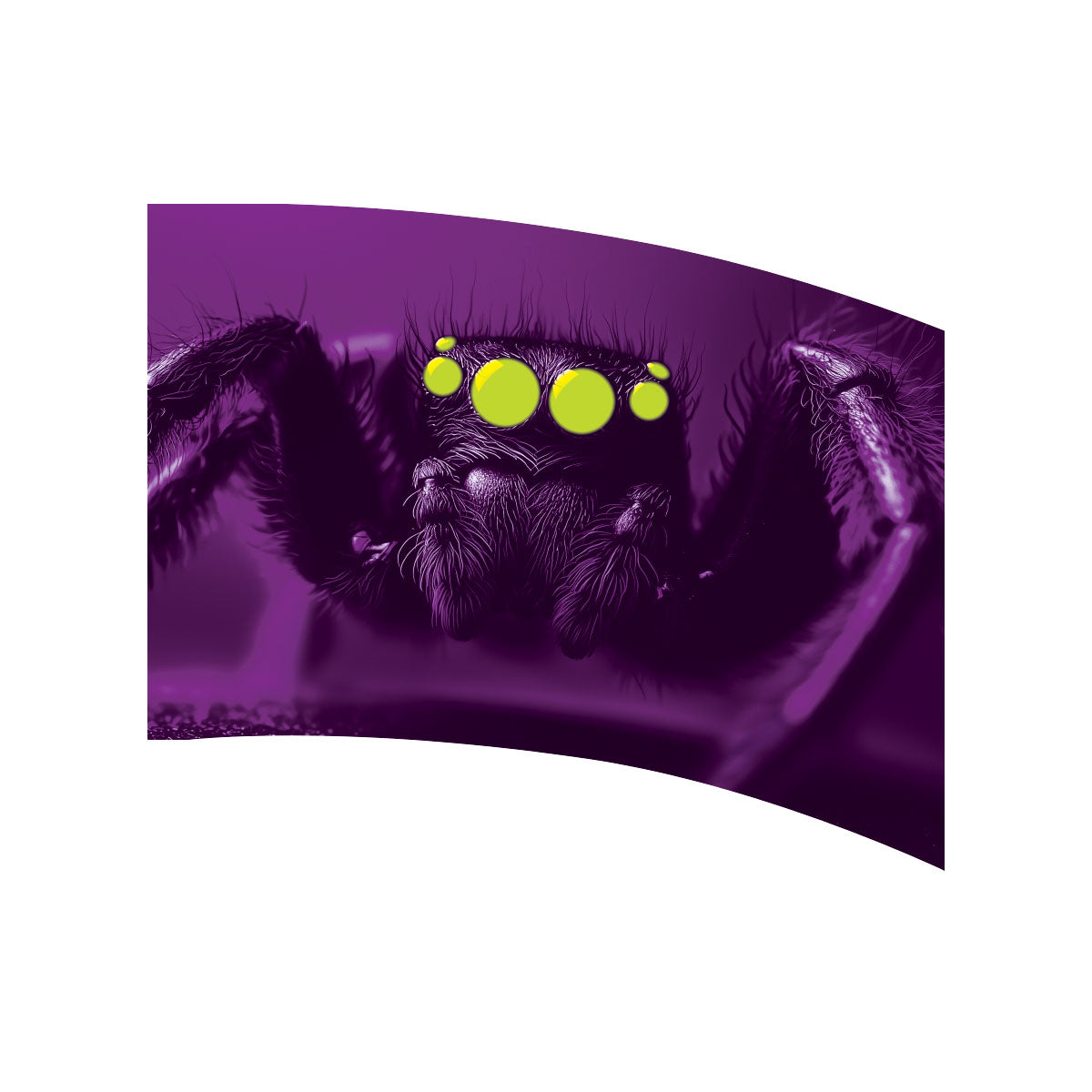 Printed Flag 3D06011