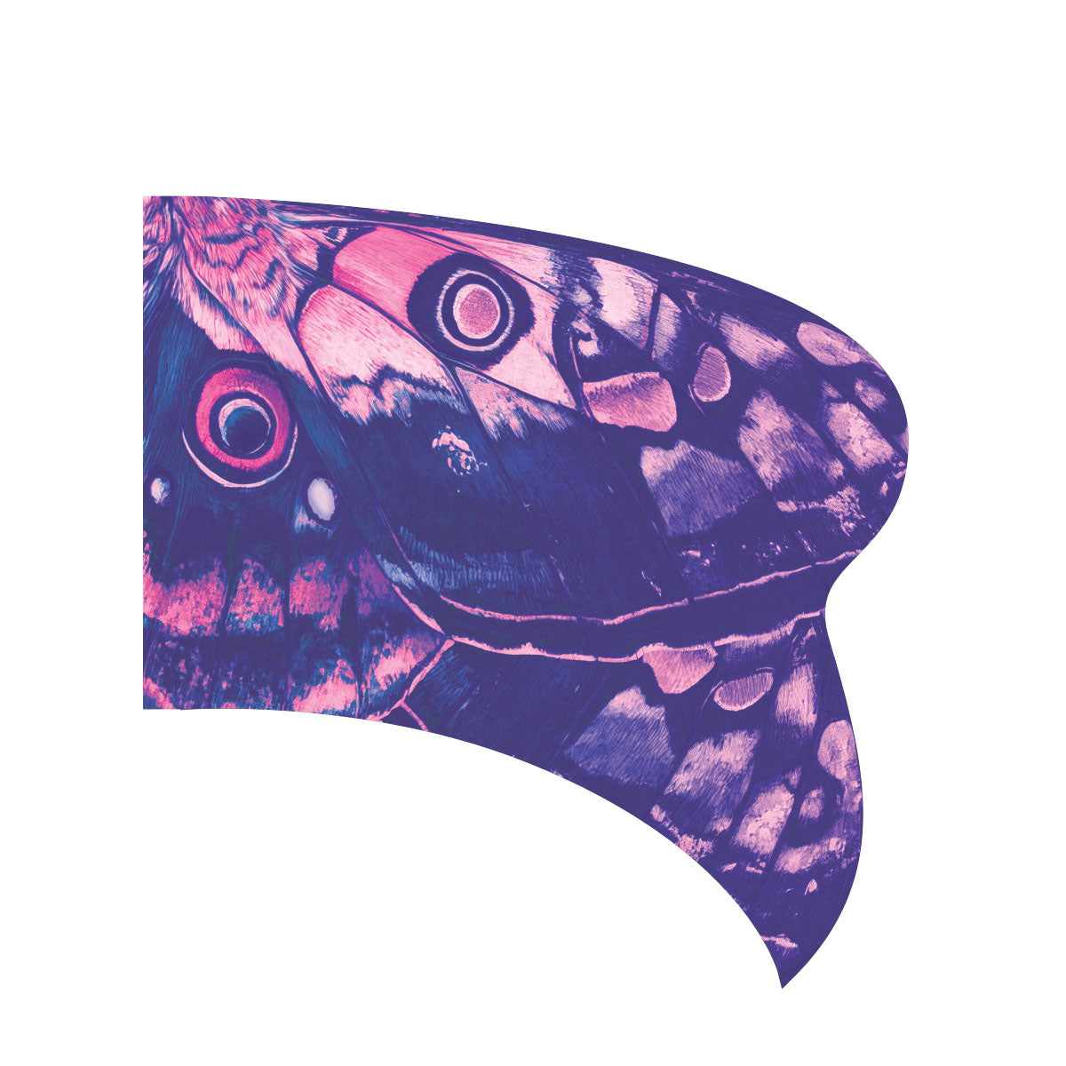 Printed Flag 3D06041