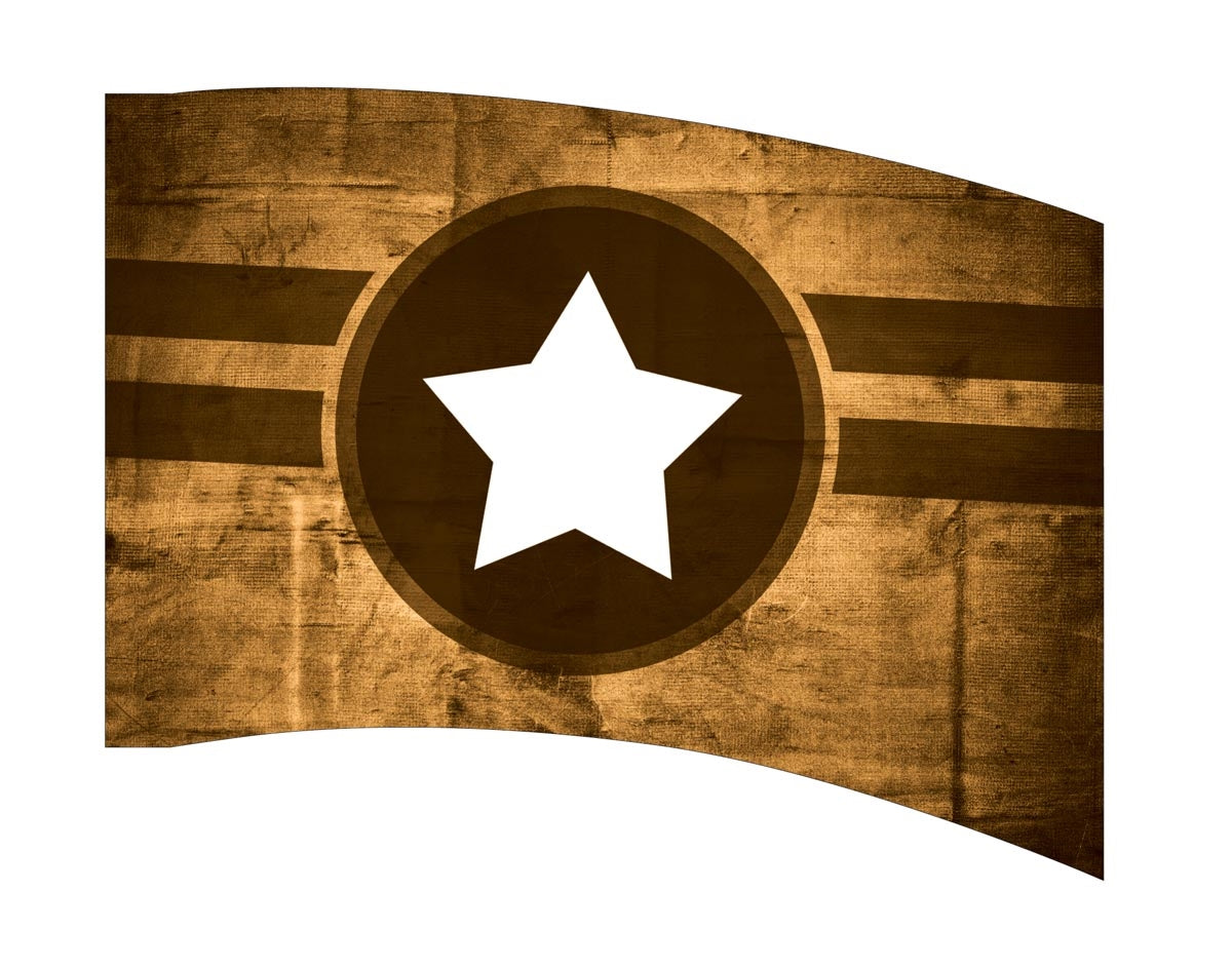 Printed Color Guard Flag