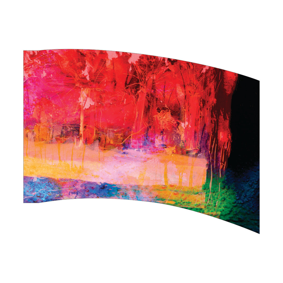 Printed Color Guard Flag