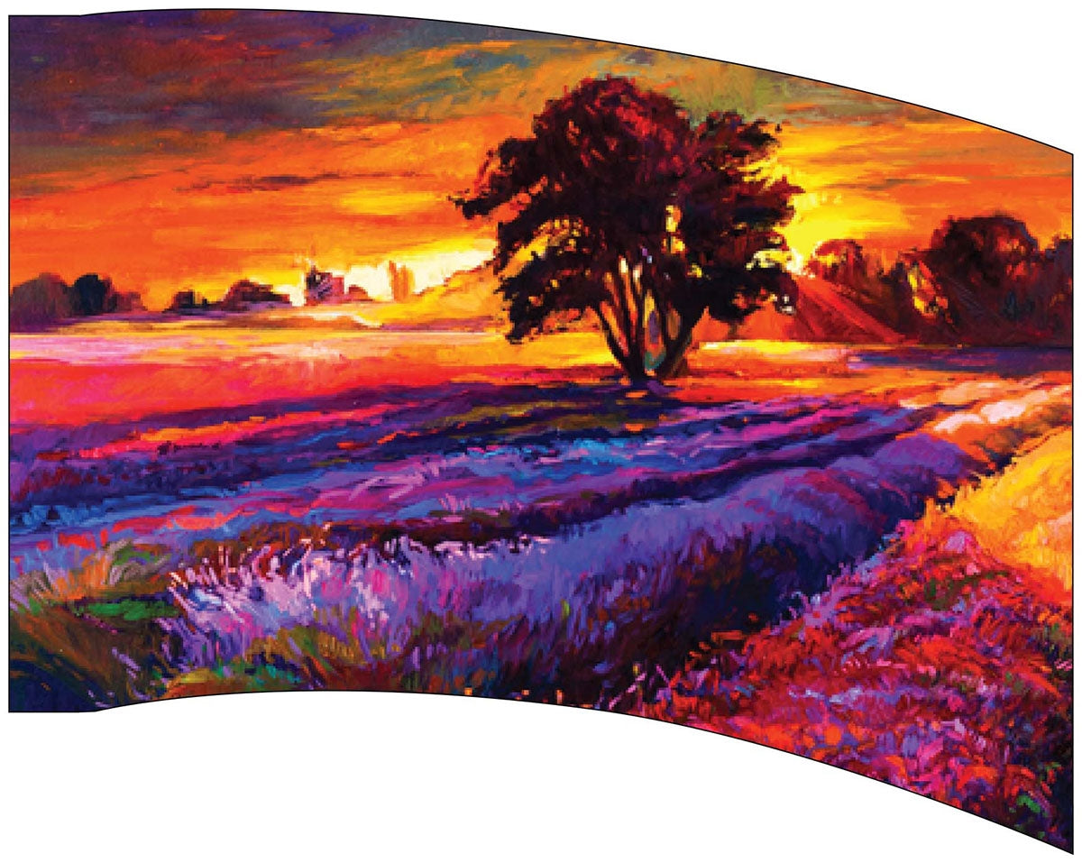 Printed Color Guard Flag