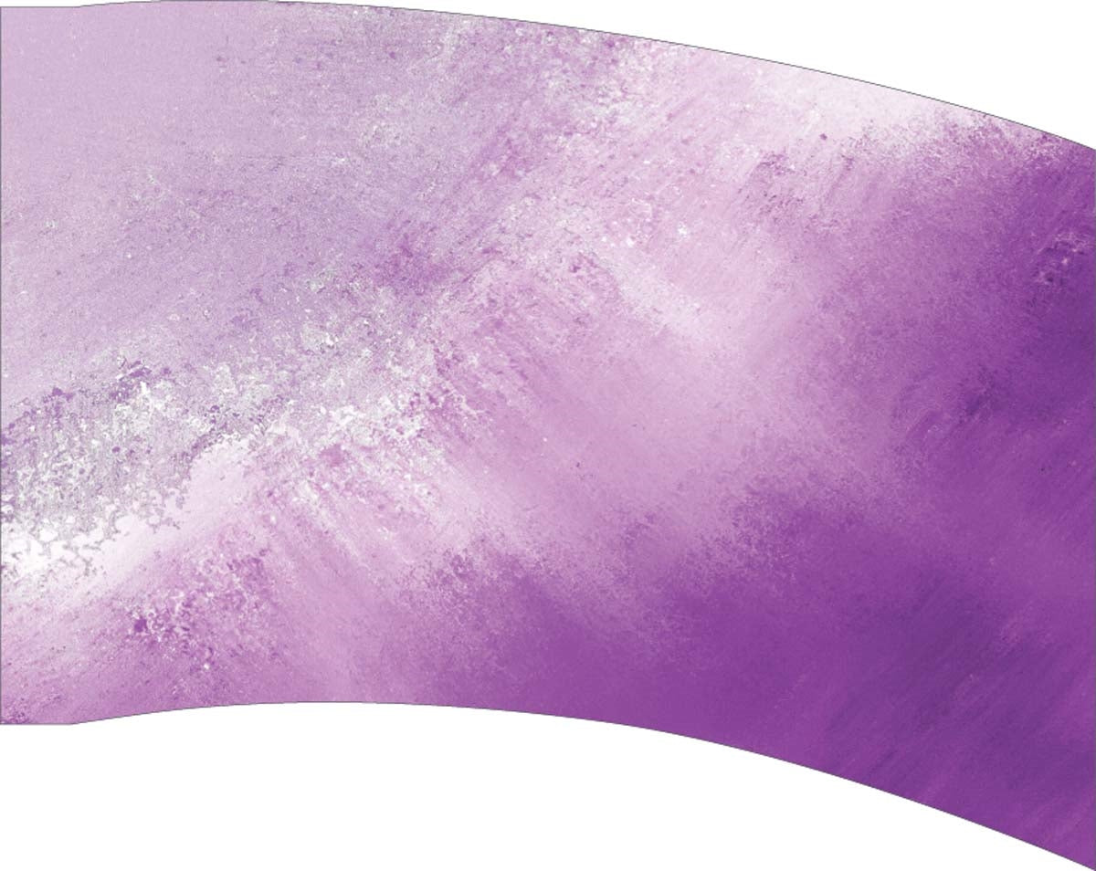 Printed Color Guard Flag