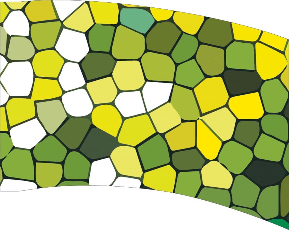 Printed Color Guard Flag