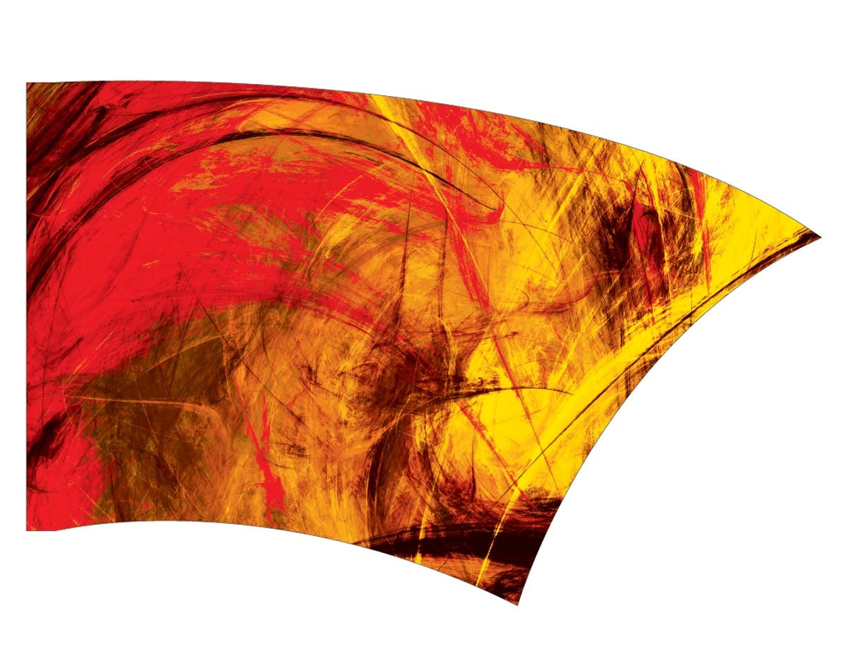 Printed Color Guard Flag
